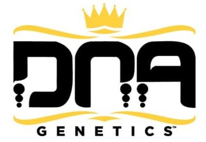 banco de semente dna genetics