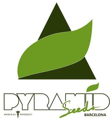 banco de semente pyramid seeds