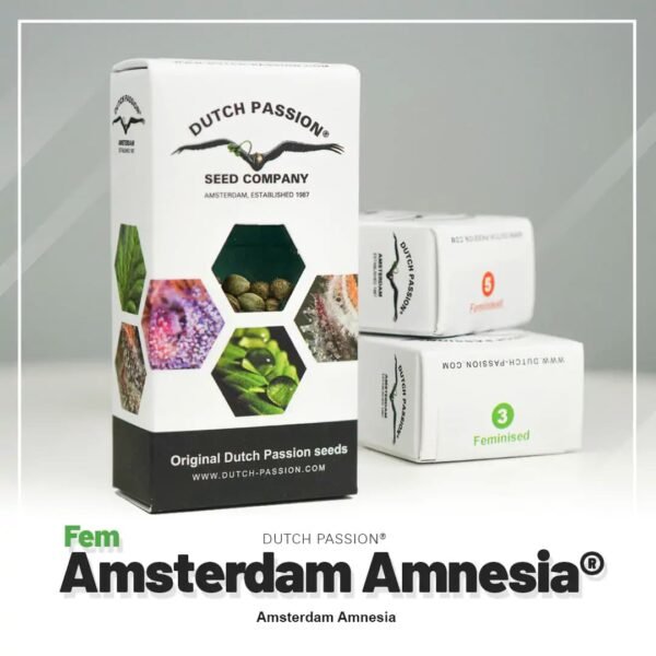 amsterdam_amnesia_23_5_408c5e3db57c064f7bae224d8ce4e7e2.jpeg Amsterdam Amnesia®