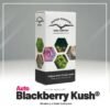 Auto Blackberry Kush®