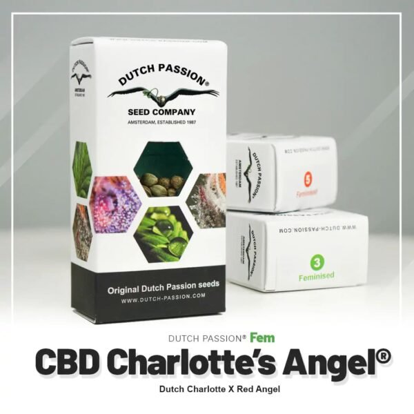 CBD Charlotte’s Angel®
