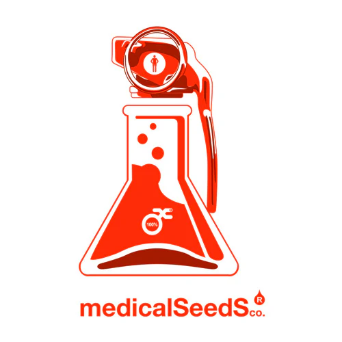 banco de semente medical seeds