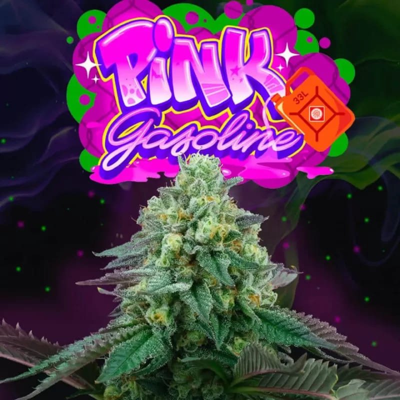 Pink Gasoline 2