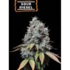 Sour Diesel