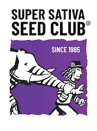 banco de semente super sativa seed club