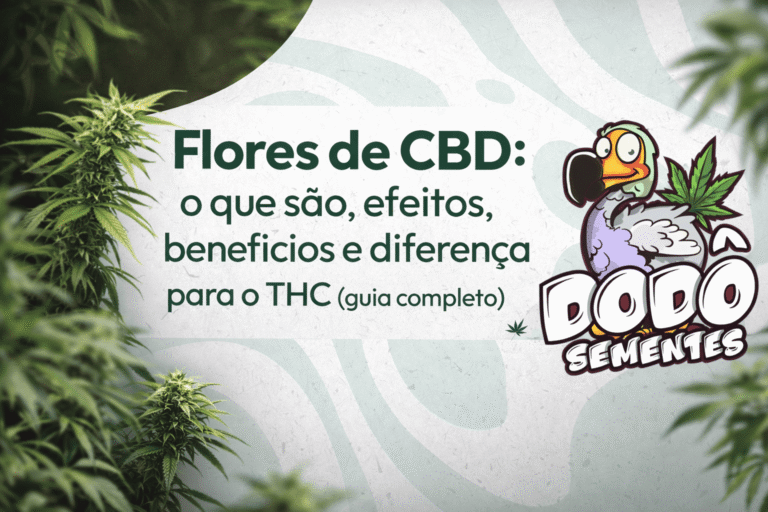 Flores de CBD: o que são, efeitos, benefícios e diferenças para o THC Flores de CBD_ guia completo