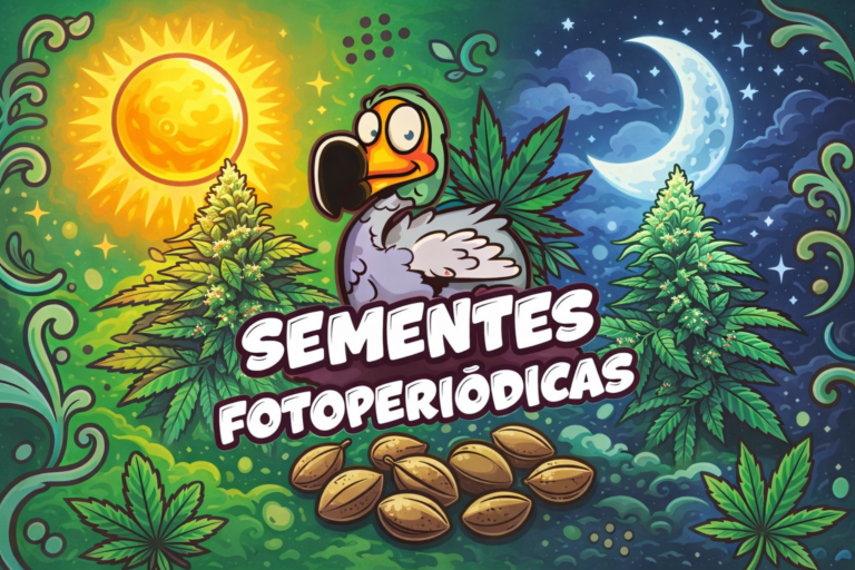 Sementes Fotoperíodo: Guia Completo Capa do blogpost com escrita sementes fotoperíodo