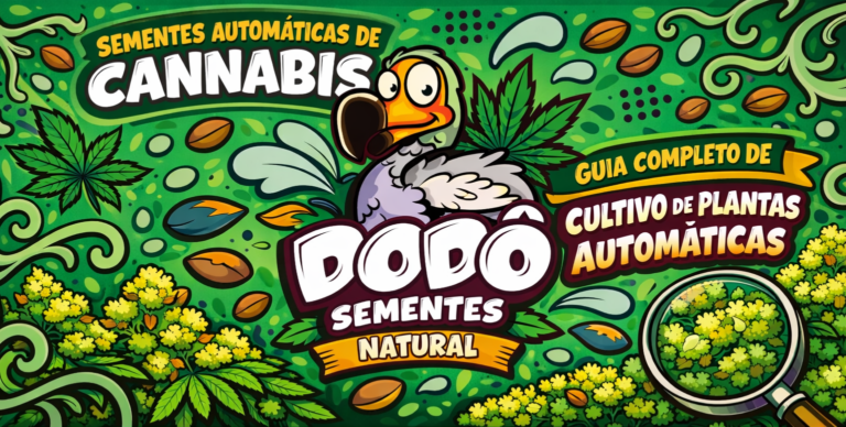 Sementes Automáticas | Guia Completo para iniciantes Sementes Automáticas | Guia Completo Rápido com Dicas