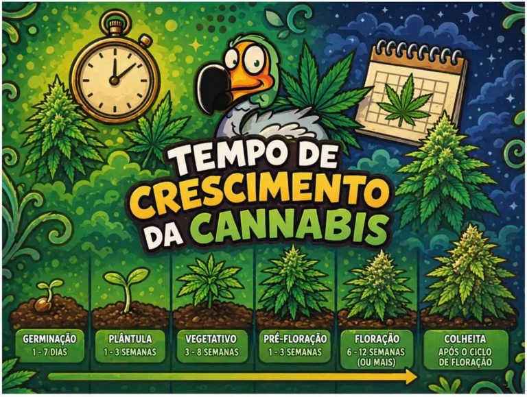 ChatGPT Image 30 de abr. de 2026 15 26 57